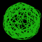 Световой подвес на деревья «Плетеный шар» (d40см, 216LED, 3D, IP65) зеленый